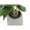 Monarch Specialties Artificial Plant, 8" Tall, Alocasia, Indoor, Faux, Fake, Table, Greenery, Potted, Set Of 2 I 9582 - alternate 3